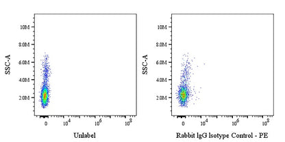 PE Rabbit IgG Isotype Control Antibody (S-R058)