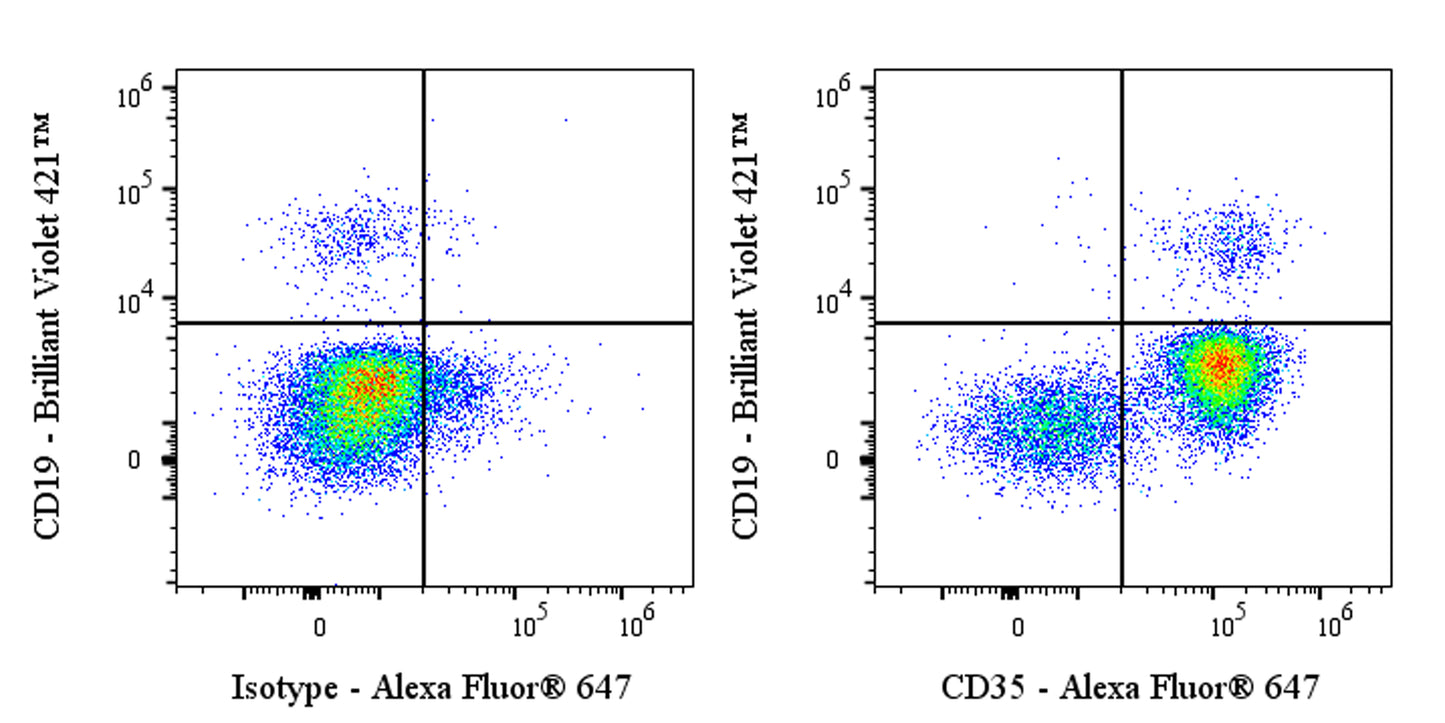 Alexa Fluor® 647 Rabbit Anti-Human CD35 Antibody (S-1294-26)