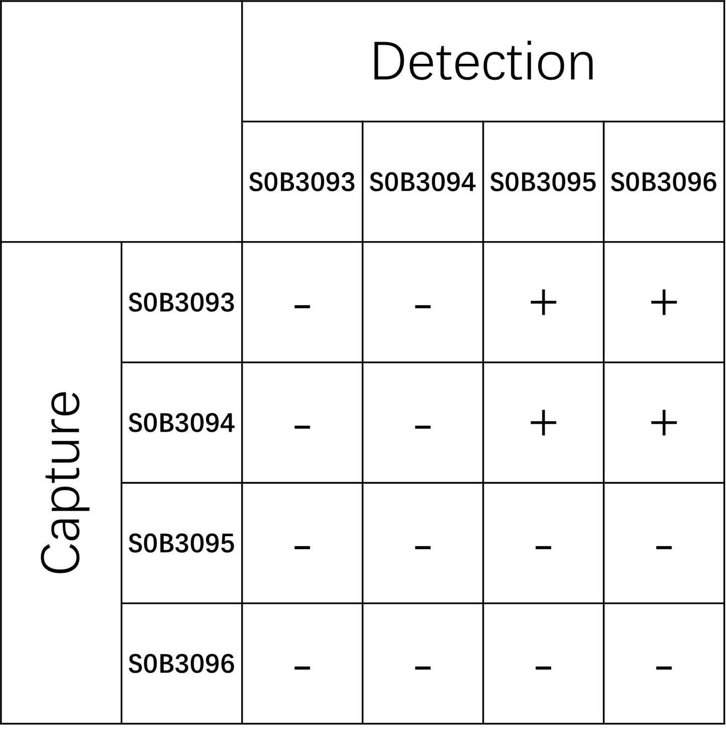 Laminin Recombinant Rabbit mAb (SDT-148-42)