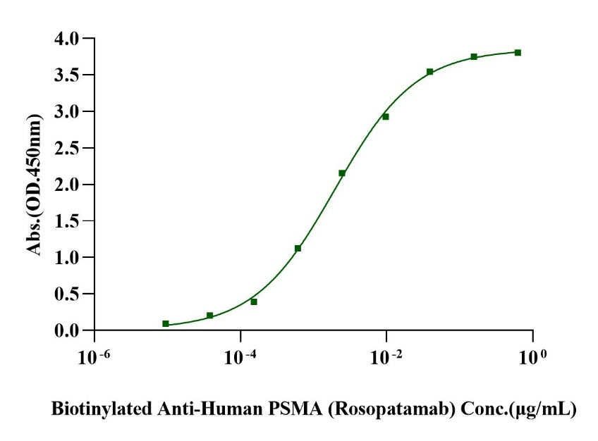 PSMA/FOLH1 Fc Chimera Protein, Human