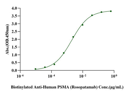 PSMA/FOLH1 Fc Chimera Protein, Human