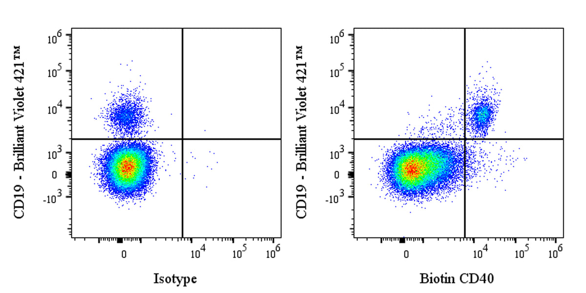 Biotin Human Anti-Human CD40 Antibody (ABBV-323)