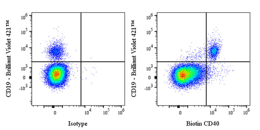 Biotin Human Anti-Human CD40 Antibody (ABBV-323)