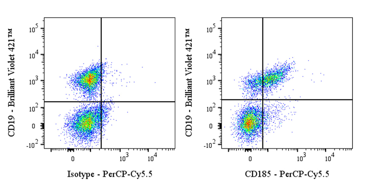 PerCP-Cy5.5 Rat Anti-Mouse CD185 Antibody (S-R600)