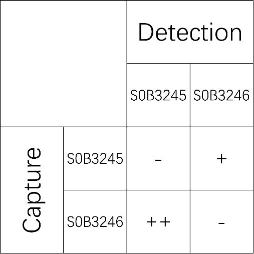 PCSK9 Recombinant Rabbit mAb (SDT-424-16)