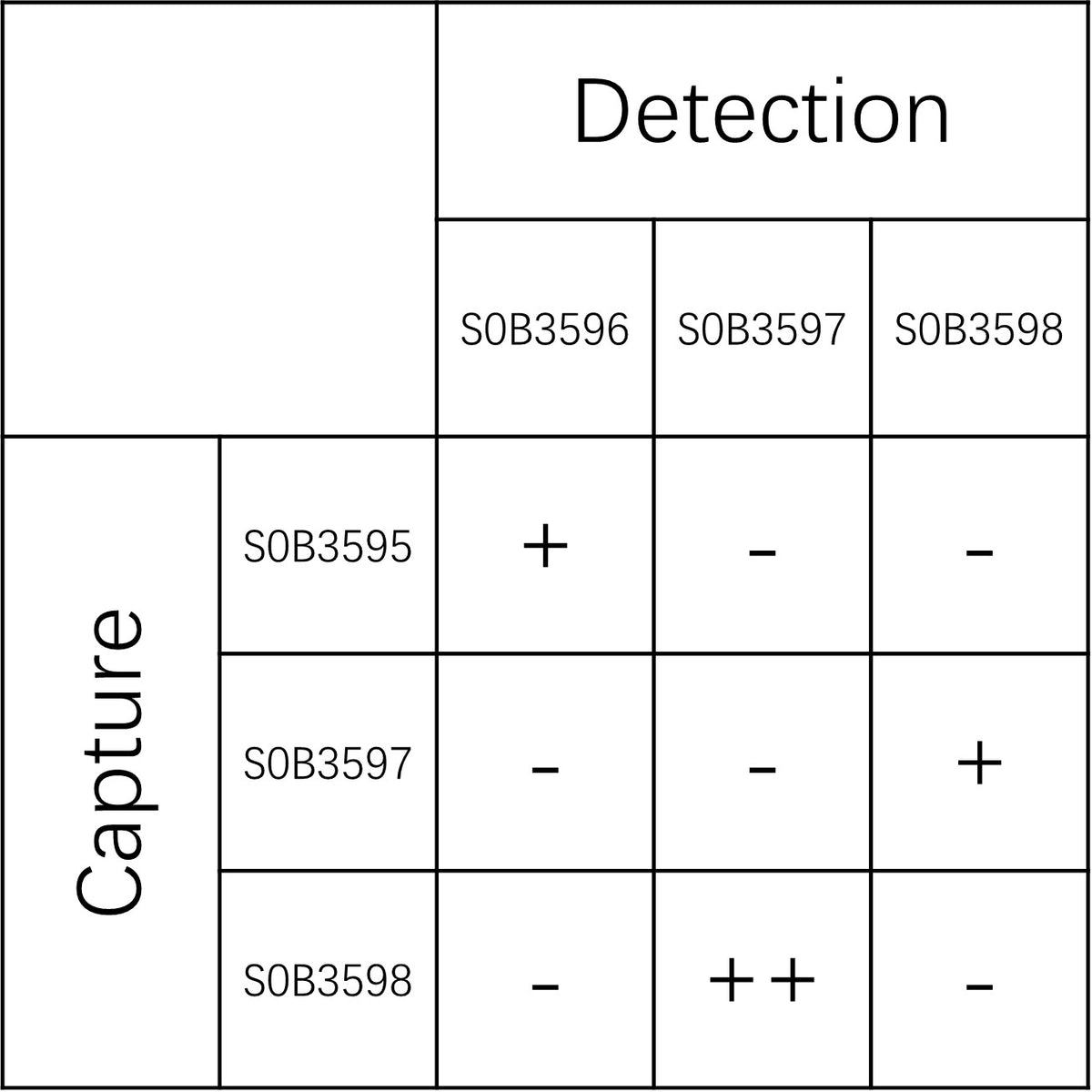 TNF-R2 Recombinant Rabbit mAb (SDT-2099-441)