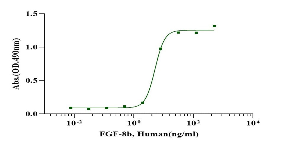 FGF-8b Protein, Human