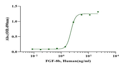 FGF-8b Protein, Human