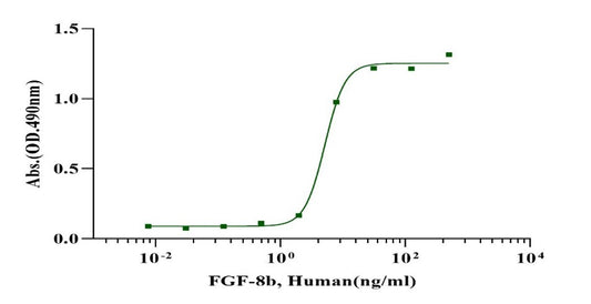 FGF-8b Protein, Human