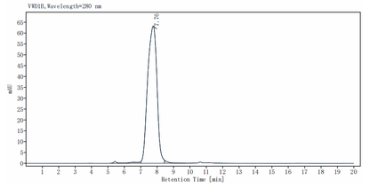 Biotinylated MMP-9 His&Avi Tag Protein, Human