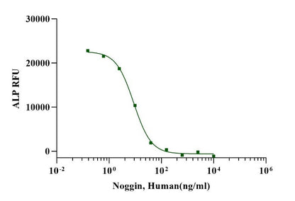 Noggin Protein, Human