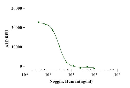 Noggin Protein, Human
