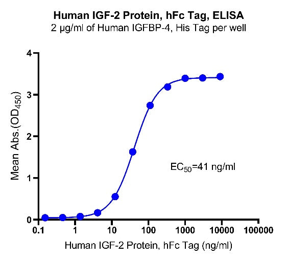 IGF-2 His Tag Protein, Human
