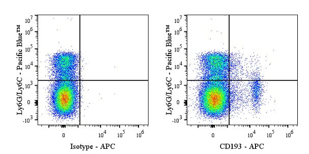 APC Rat Anti-Mouse CD193 Antibody (S-R699)