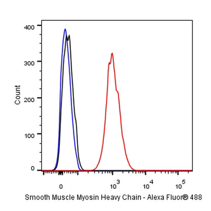 Smooth Muscle Myosin Heavy Chain (SMMHC) Recombinant Rabbit mAb (SDT-R089)