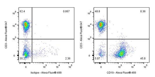 Rat Anti-Mouse CD19 Antibody (1D3)