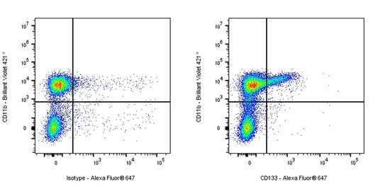 Rat Anti-Mouse CD133 Antibody (S-R696)