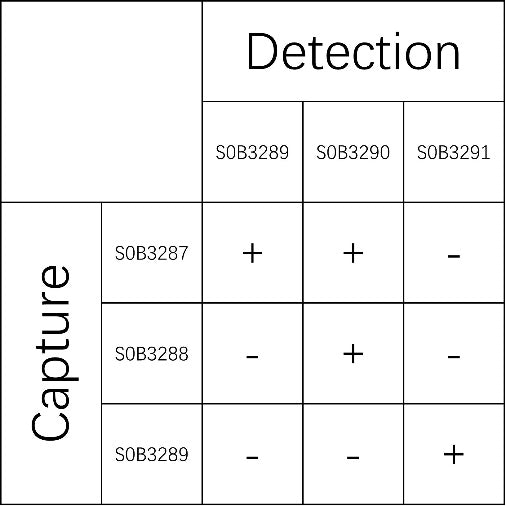 Tissue Factor Recombinant Rabbit mAb (SDT-893-46)