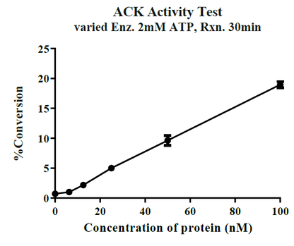 ACK GST Tag Protein, Human