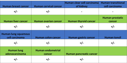 TRIM21 Mouse mAb (S-M0045)