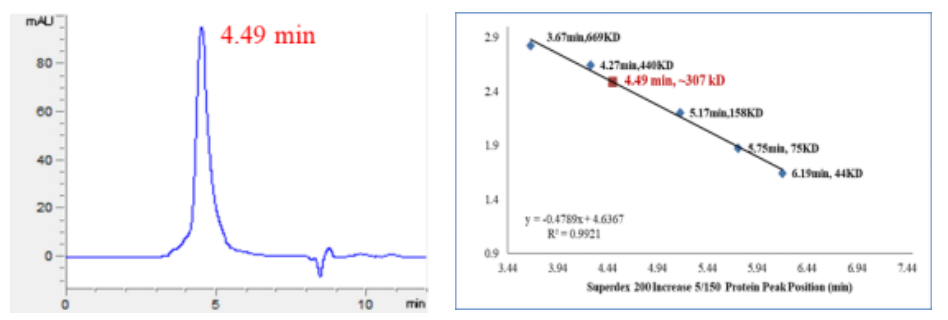 CDK4/Cyclin D1 Protein, Human