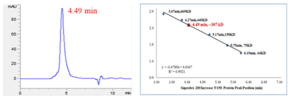CDK4/Cyclin D1 Protein, Human