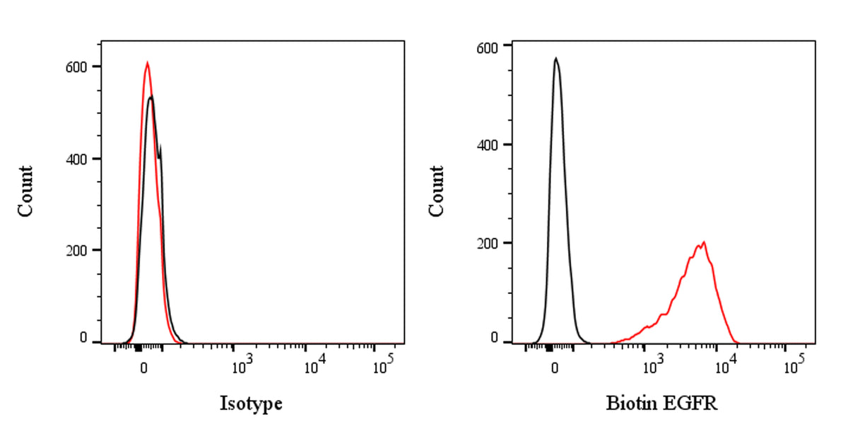 Biotin Mouse Anti-Human EGFR Antibody (528)