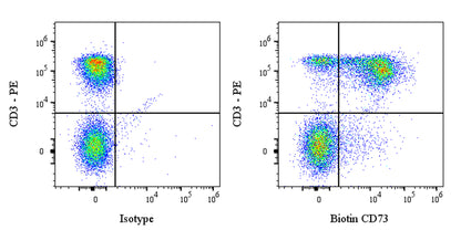 Biotin Recombinant Rabbit mAb (Alexa Fluor® 647 Conjugate) (S-3083)