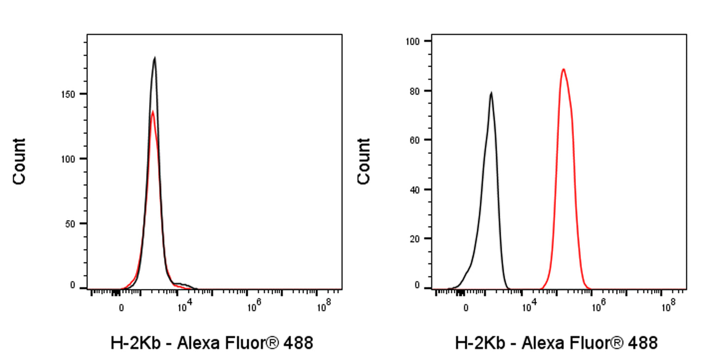 Alexa Fluor® 488 Mouse Anti-Mouse H-2Kb Antibody (AF6-88.5)