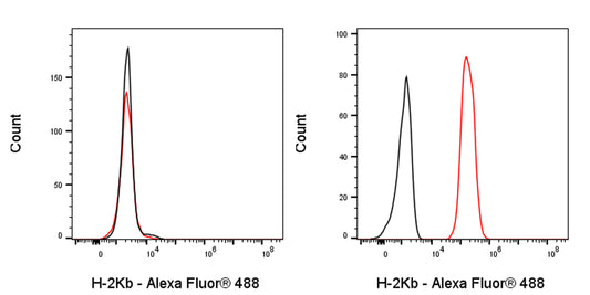 Alexa Fluor® 488 Mouse Anti-Mouse H-2Kb Antibody (AF6-88.5)