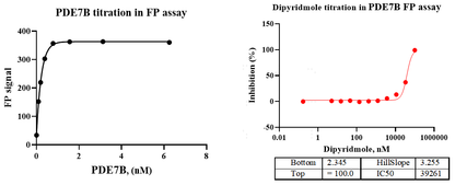 PDE7B GST Tag Protein, Human