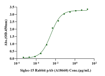 Siglec-15 Fc Chimera Protein, Human