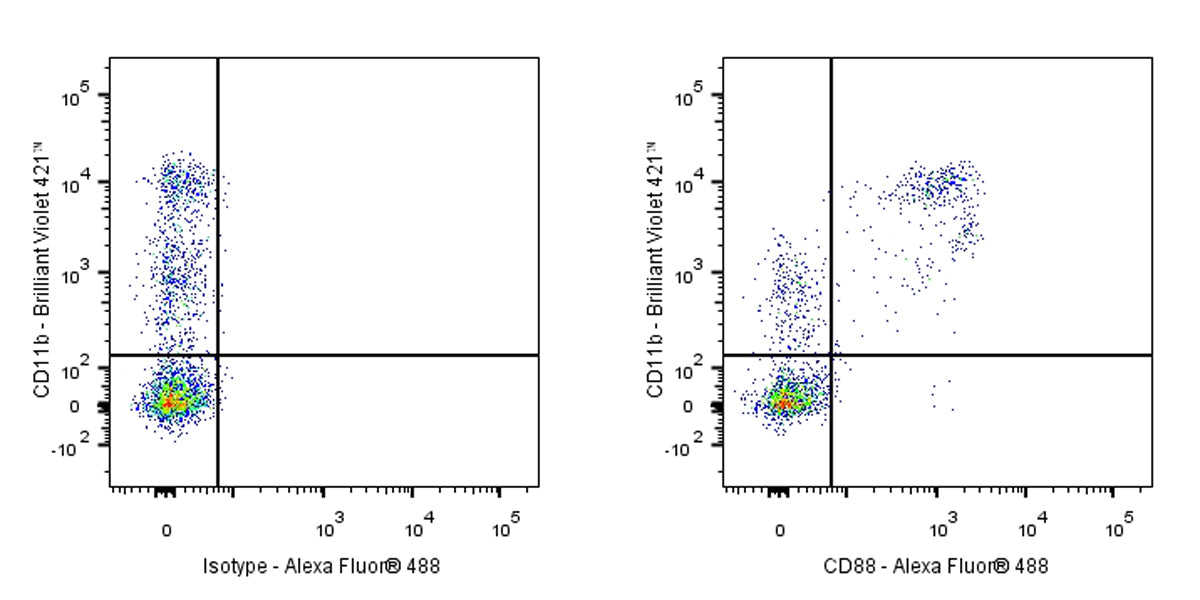 CD88 Recombinant Rabbit mAb (S-1921-43)