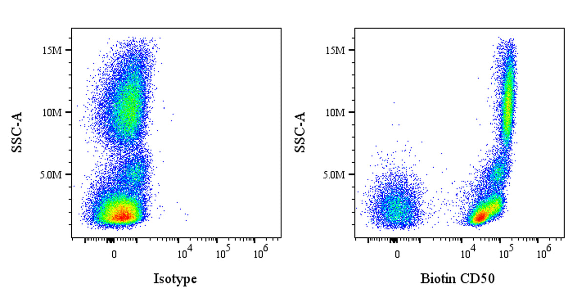 Biotin Mouse Anti-Human CD50 Antibody (S-4993)
