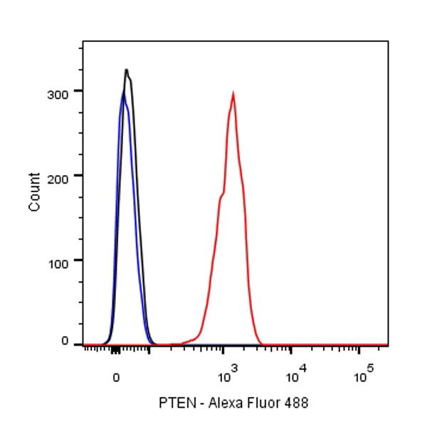 PTEN Recombinant Rabbit mAb (SDT-R074)