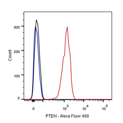 PTEN Recombinant Rabbit mAb (SDT-R074)