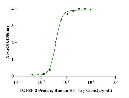 IGFBP-2 His Tag Protein, Human