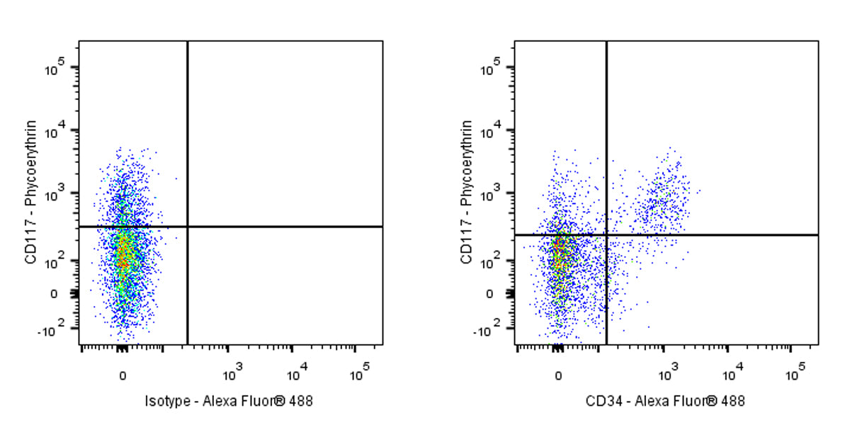 Alexa Fluor® 488 Mouse Anti-Human CD34 Antibody (S-2802)