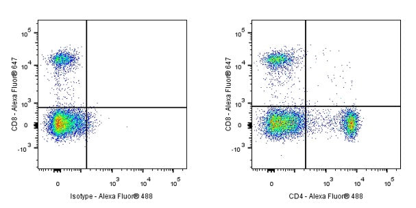 CD8α Recombinant Mouse mAb (S-1036-21)