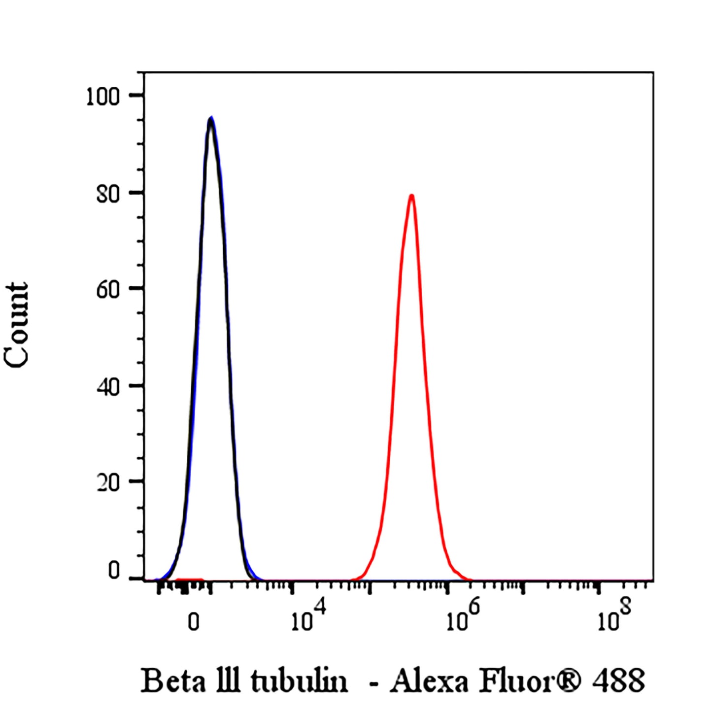 Beta III tubulin Recombinant Rabbit mAb (Alexa Fluor® 488 Conjugate) (SDT-251-28)
