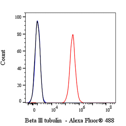 Beta III tubulin Recombinant Rabbit mAb (Alexa Fluor® 488 Conjugate) (SDT-251-28)