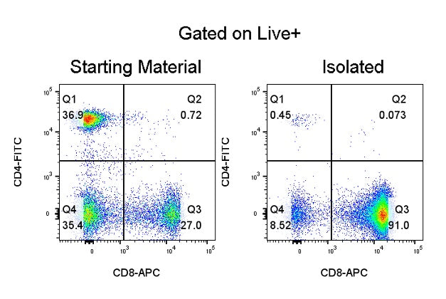 Human CD8 T Cell Isolation Kit (Column-Based)