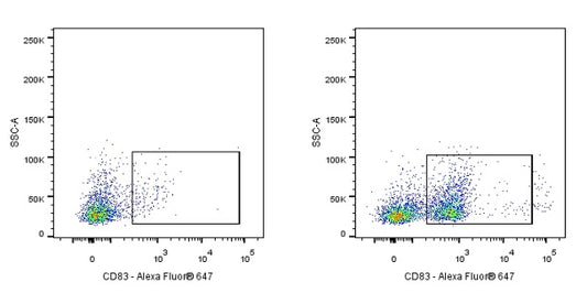 Rat Anti-Mouse CD83 Antibody (S-R522)