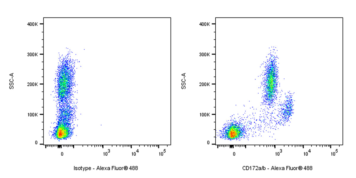 Alexa Fluor® 488 Mouse Anti-Human CD172a/b Antibody (S-3431)