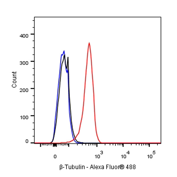 β-tubulin Recombinant Rabbit mAb (SDT-312-113)