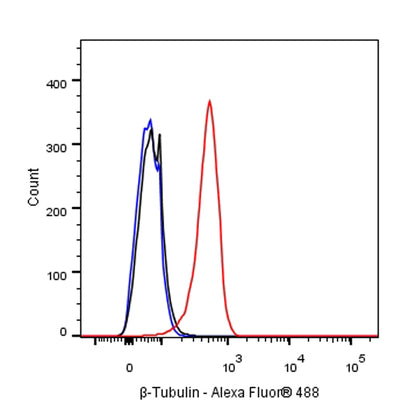 β-tubulin Recombinant Rabbit mAb (SDT-312-113)