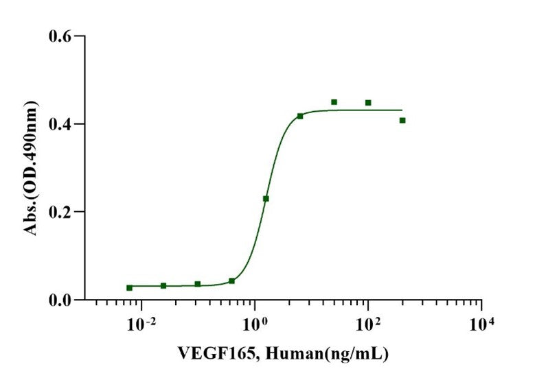 VEGF165 Protein, Human