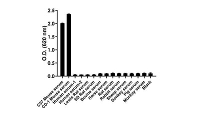 Mouse IgG Broad range ELISA Kit