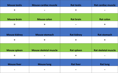 ATAD2 Recombinant Rabbit mAb (S-4145-63)
