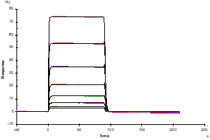 CD155/PVR His Tag Protein, Human